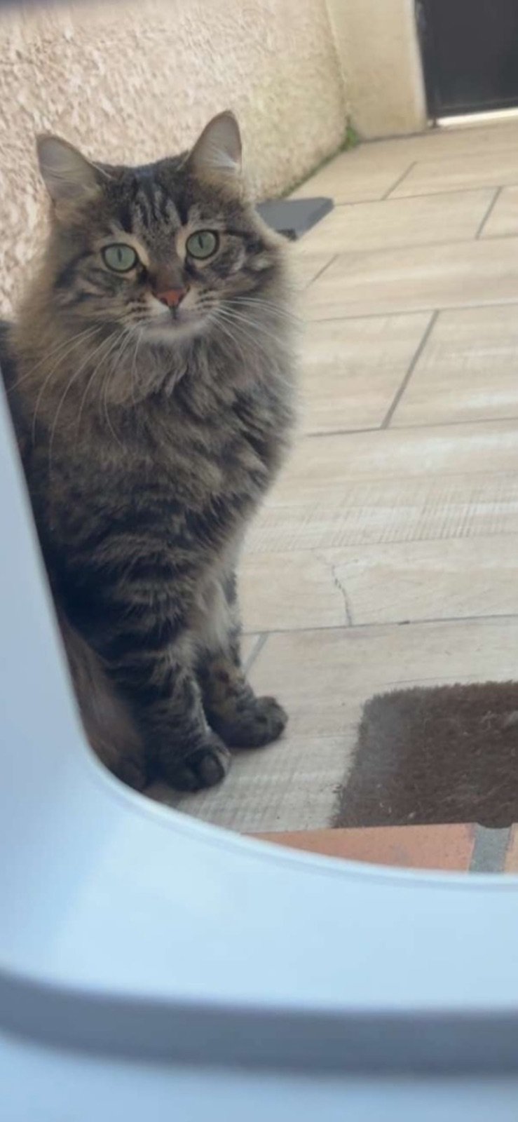Nala