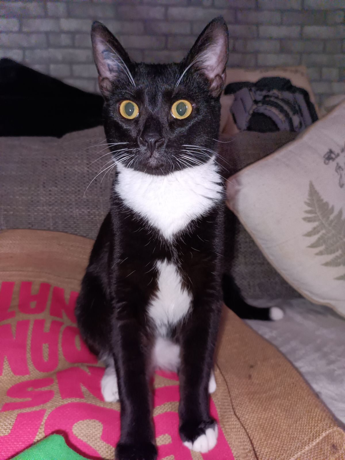 Salem