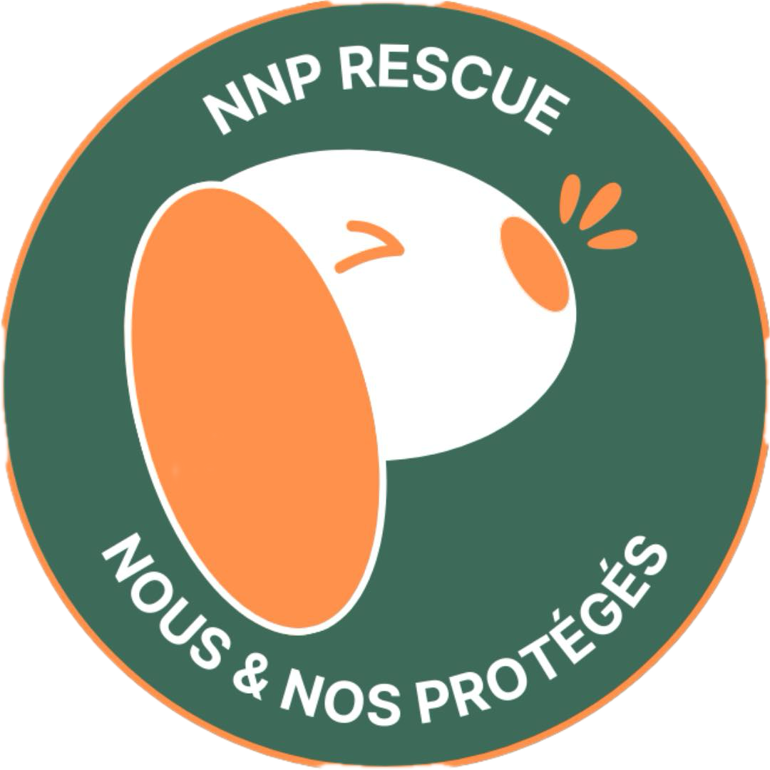 NNP Rescue