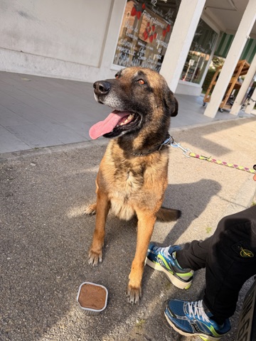 Action SOS Compagnon