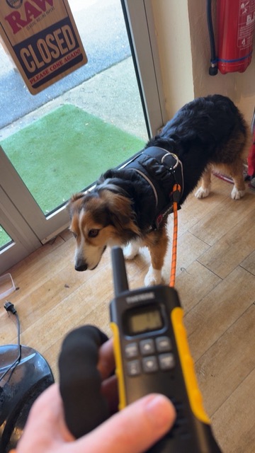 Action SOS Compagnon