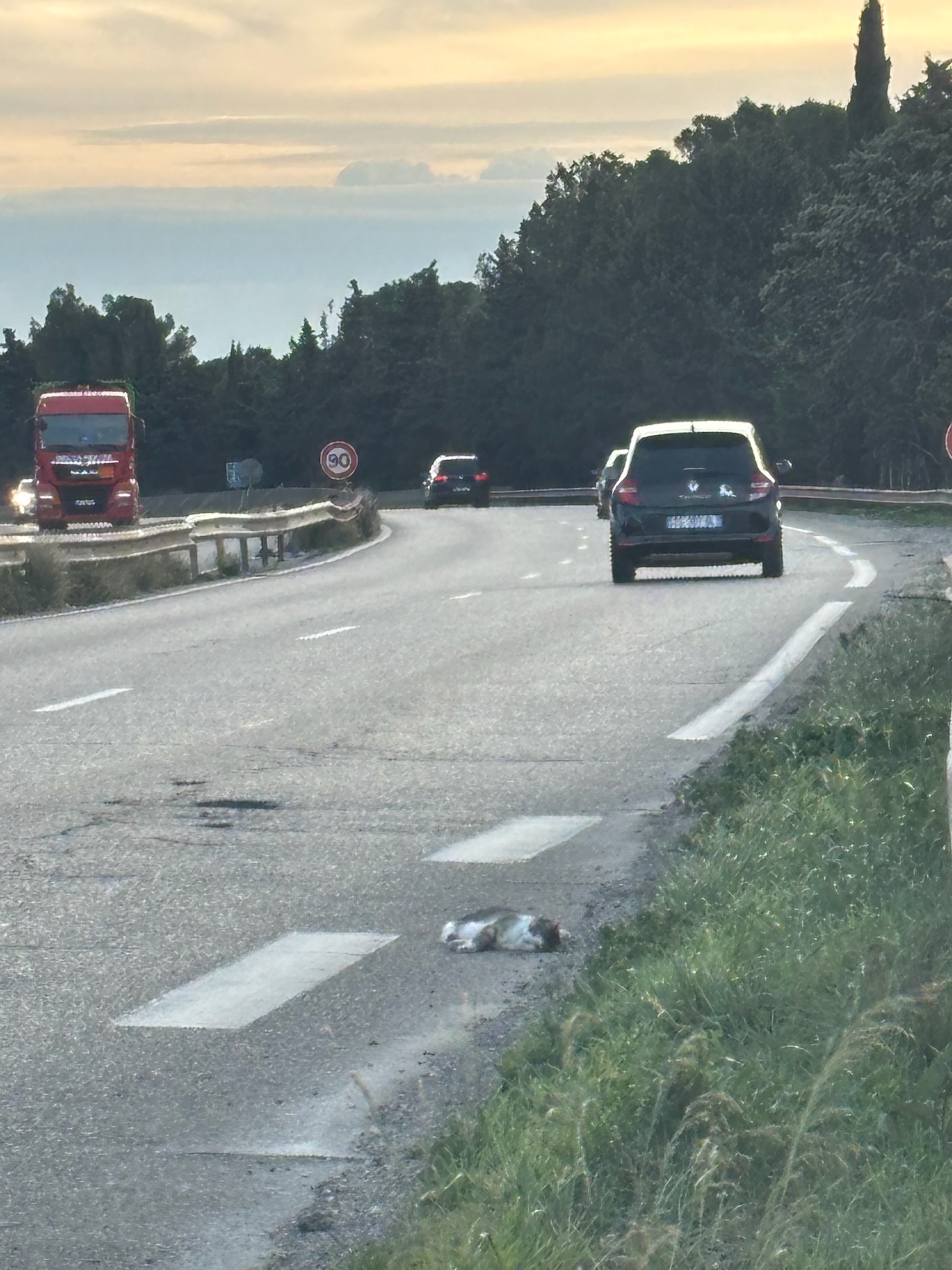 Action SOS Compagnon