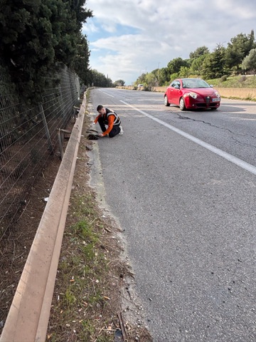 Action SOS Compagnon