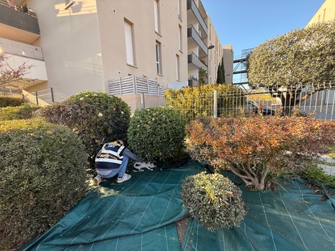 Action SOS Compagnon