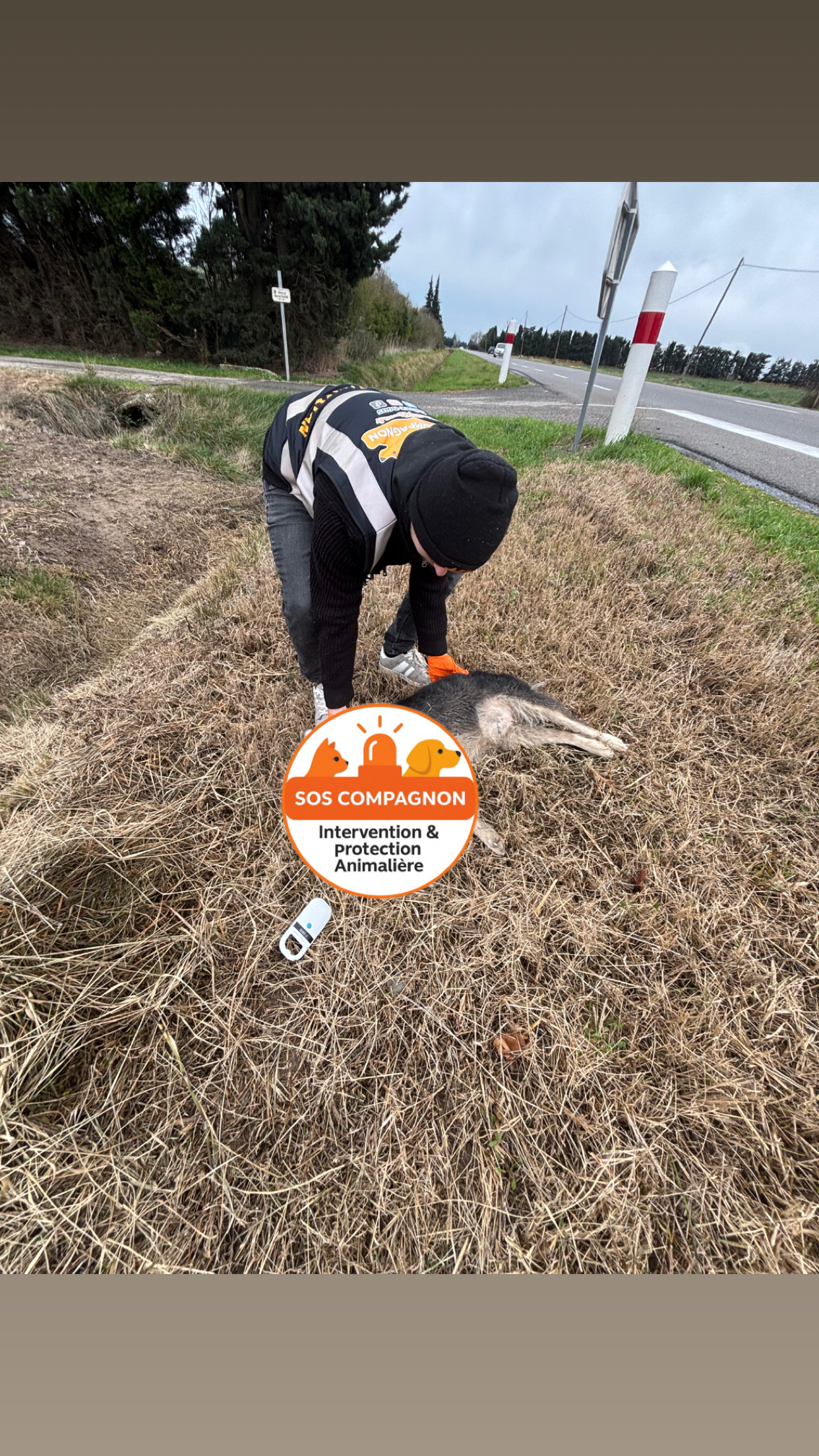 Action SOS Compagnon