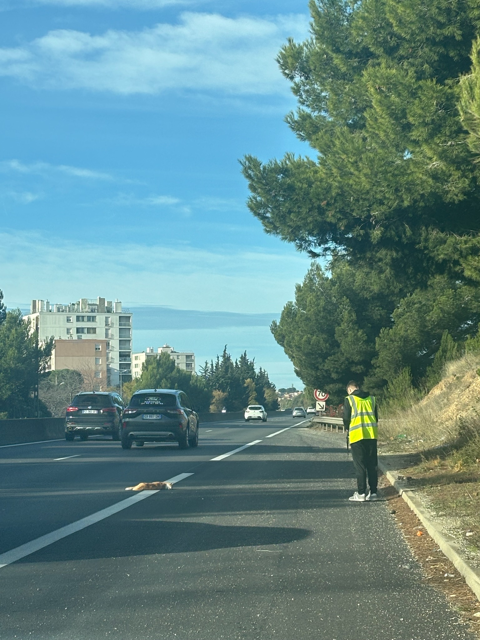 Action SOS Compagnon