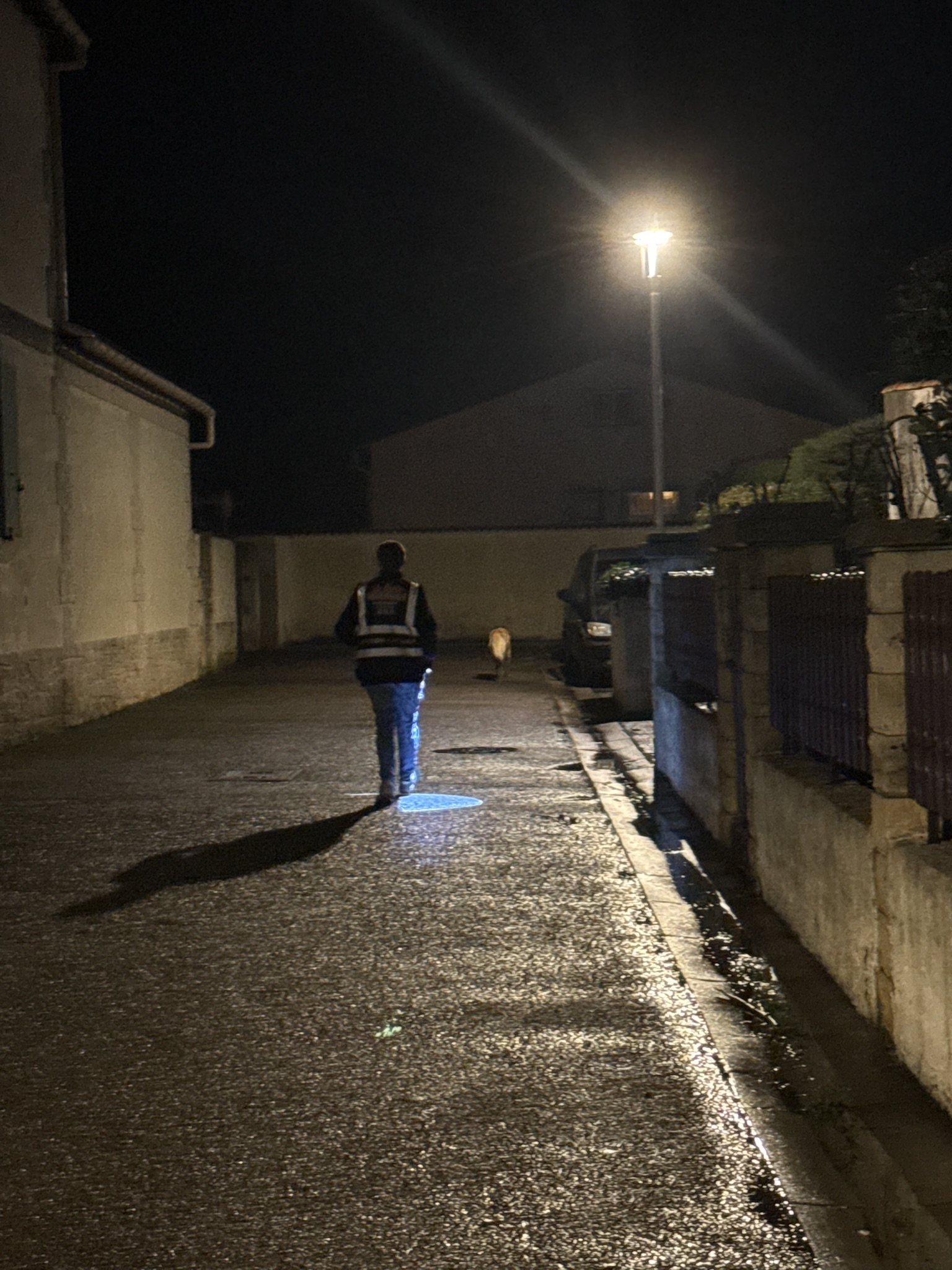 Action SOS Compagnon