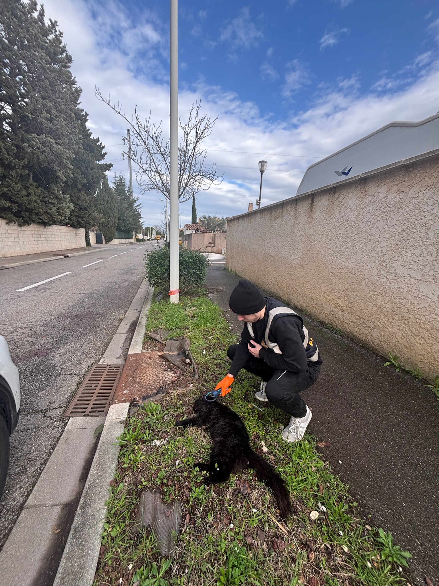 Action SOS Compagnon