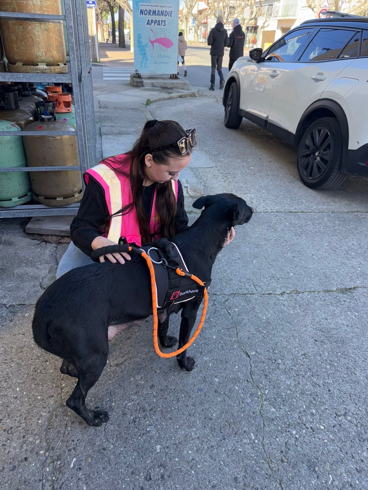 Action SOS Compagnon