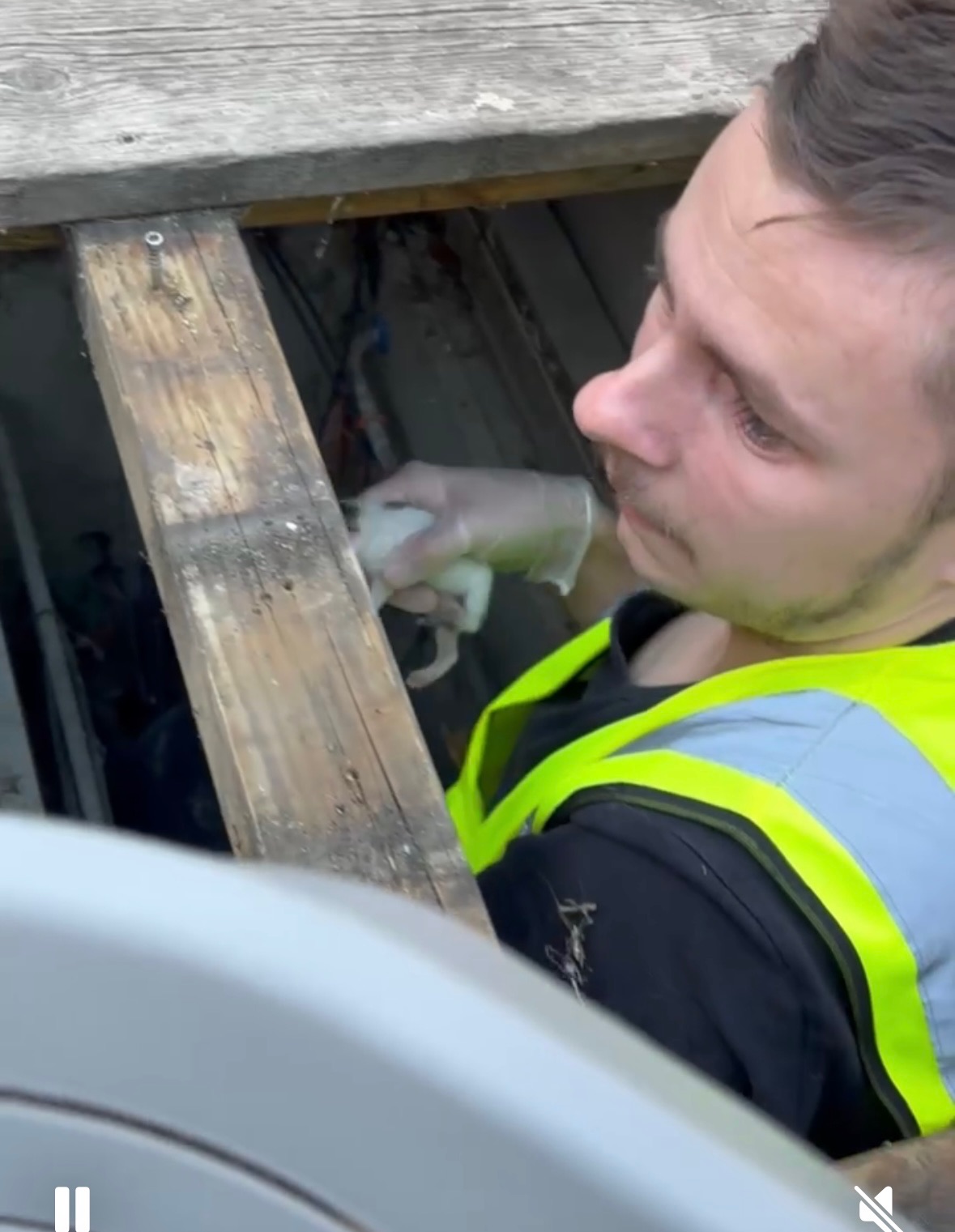 Action SOS Compagnon