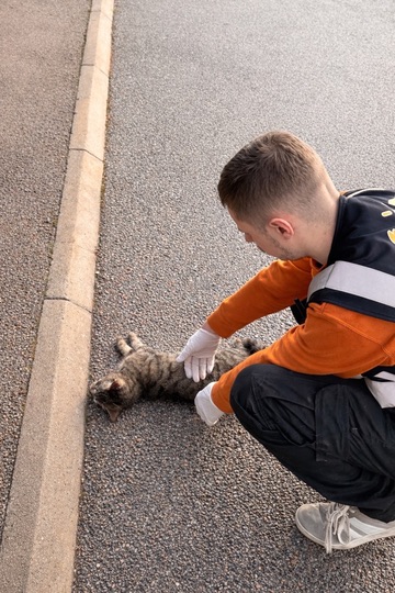 Action SOS Compagnon