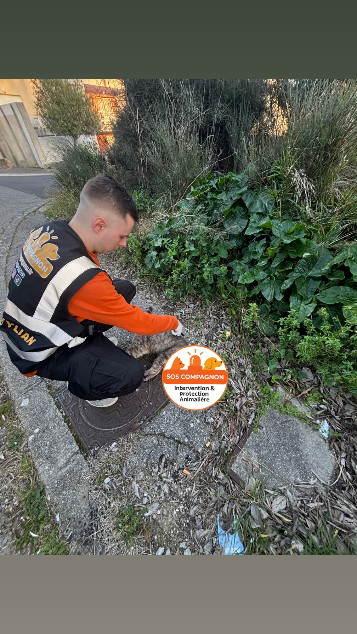 Action SOS Compagnon