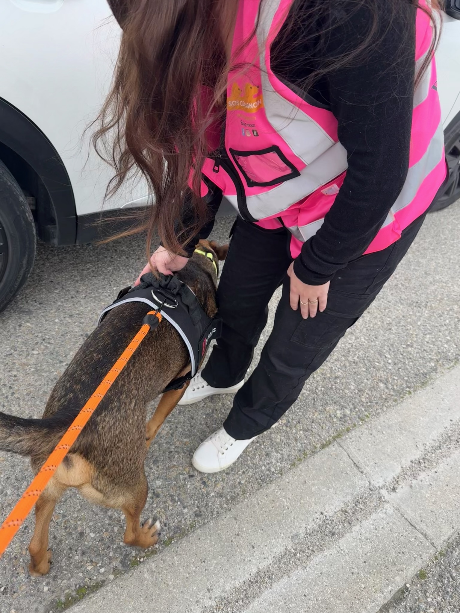 Action SOS Compagnon