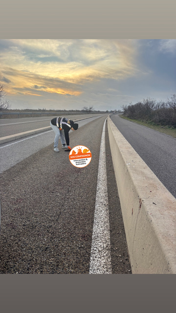 Action SOS Compagnon