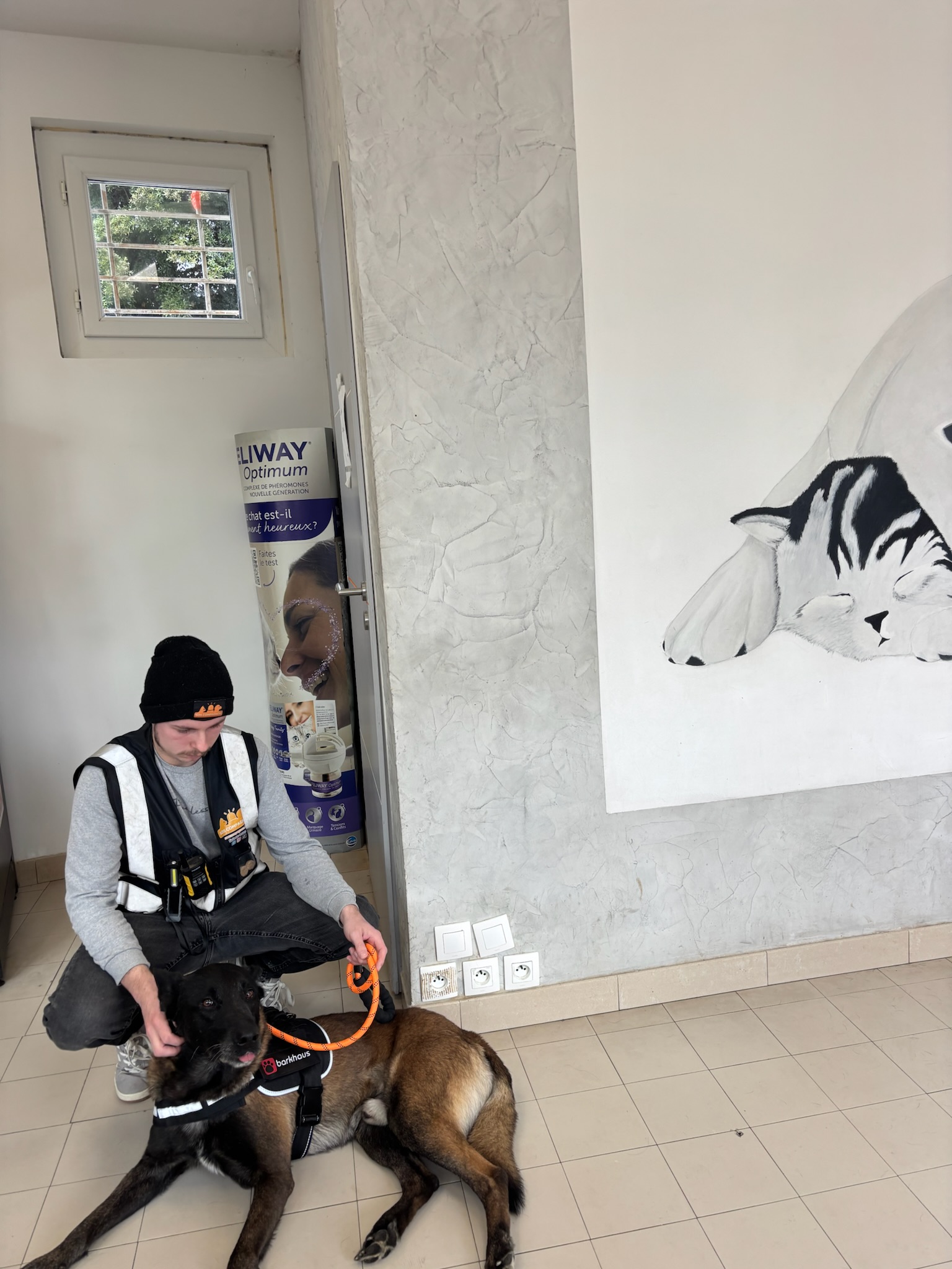 Action SOS Compagnon