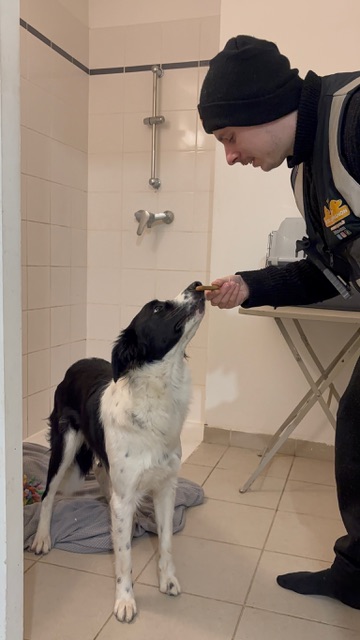 Action SOS Compagnon