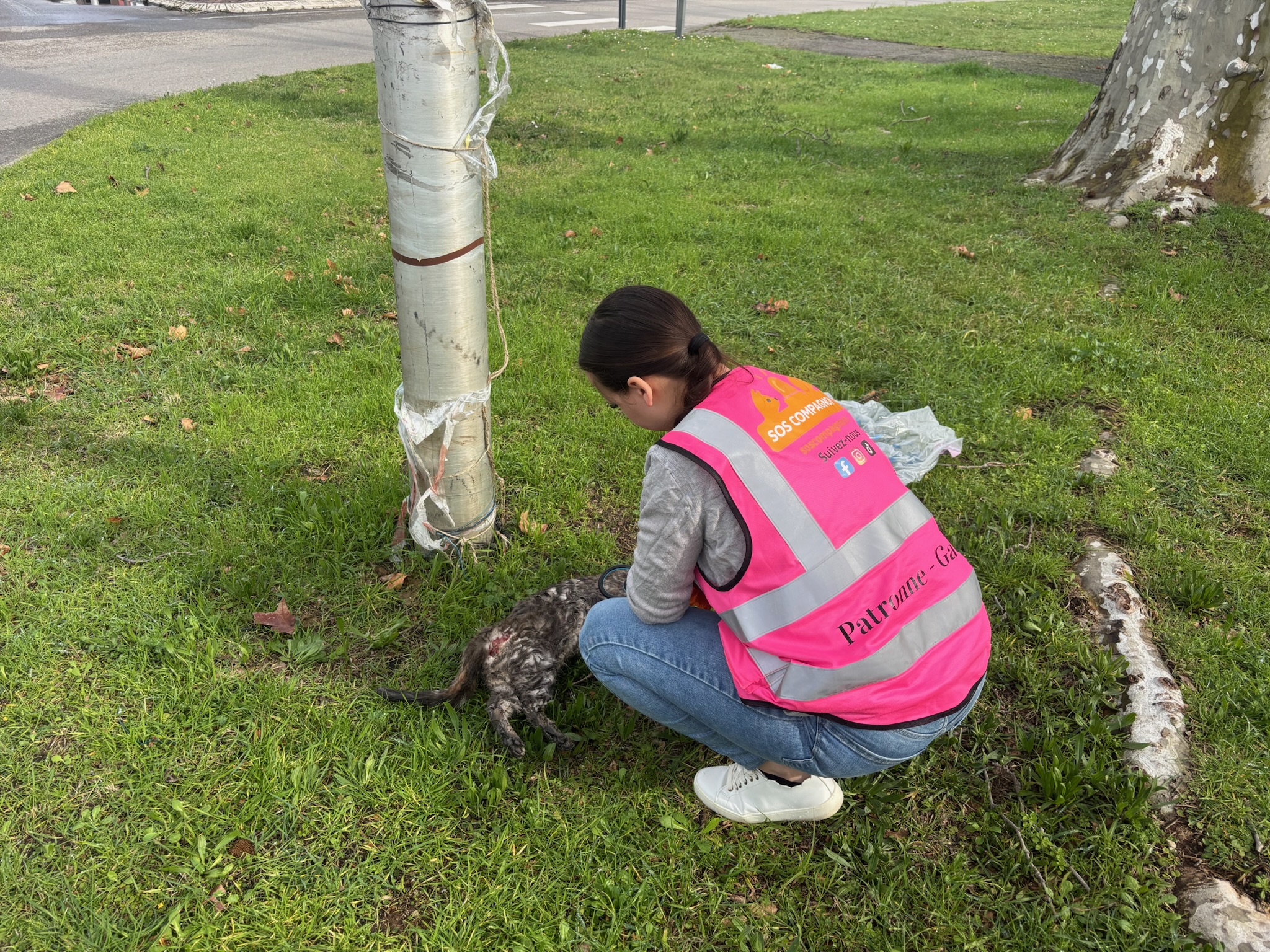 Action SOS Compagnon