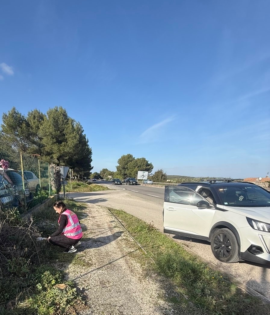 Action SOS Compagnon