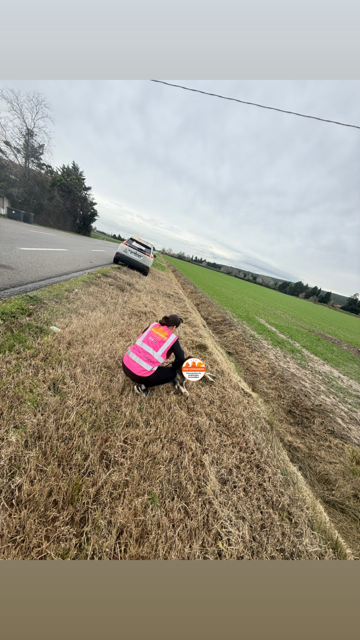 Action SOS Compagnon