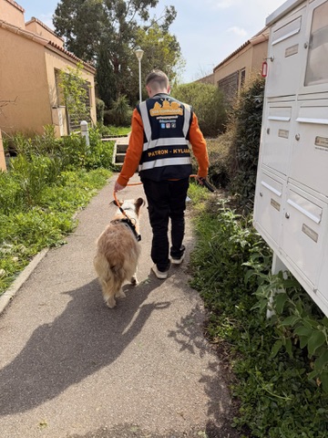 Action SOS Compagnon