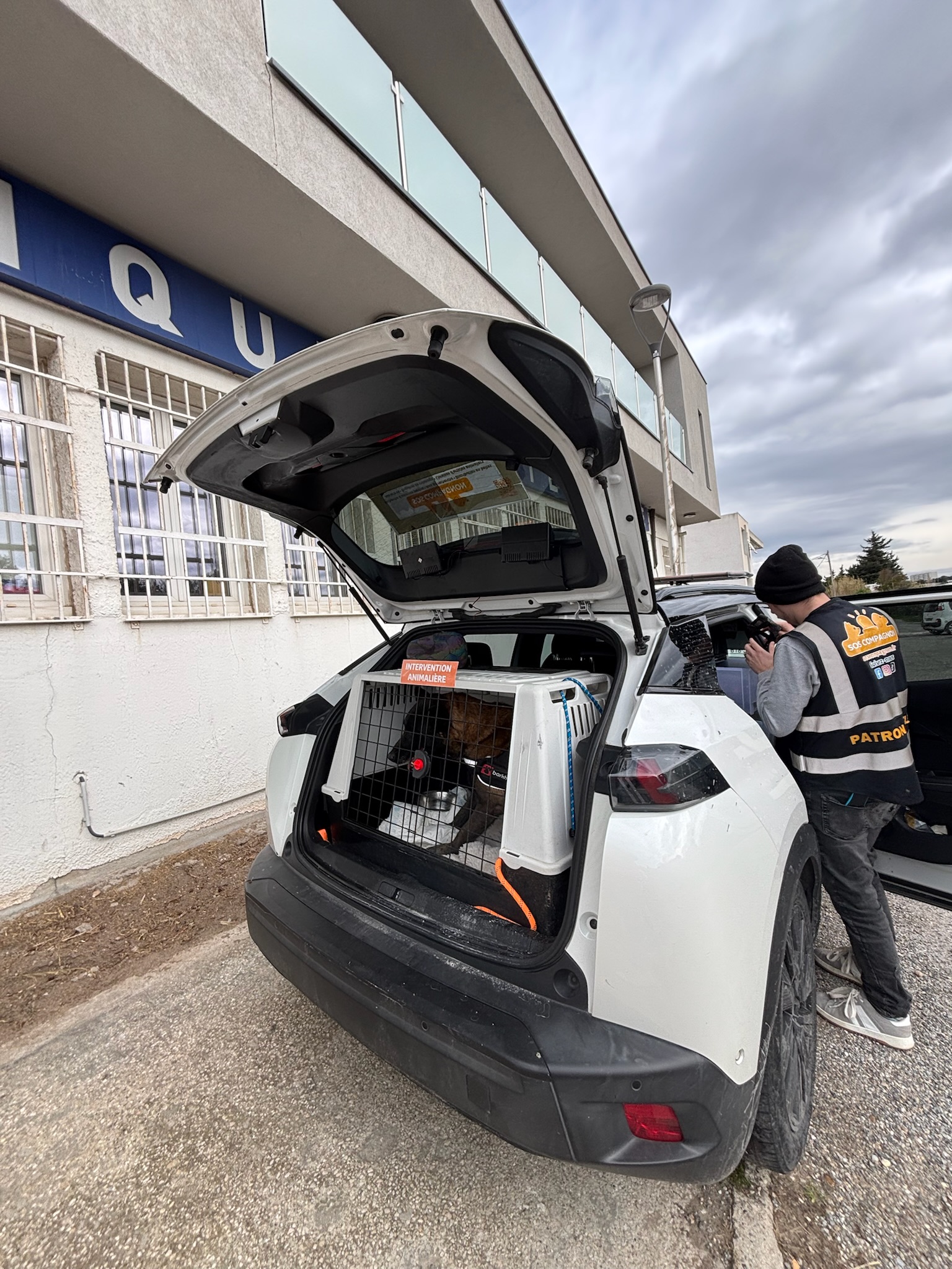 Transport association animale