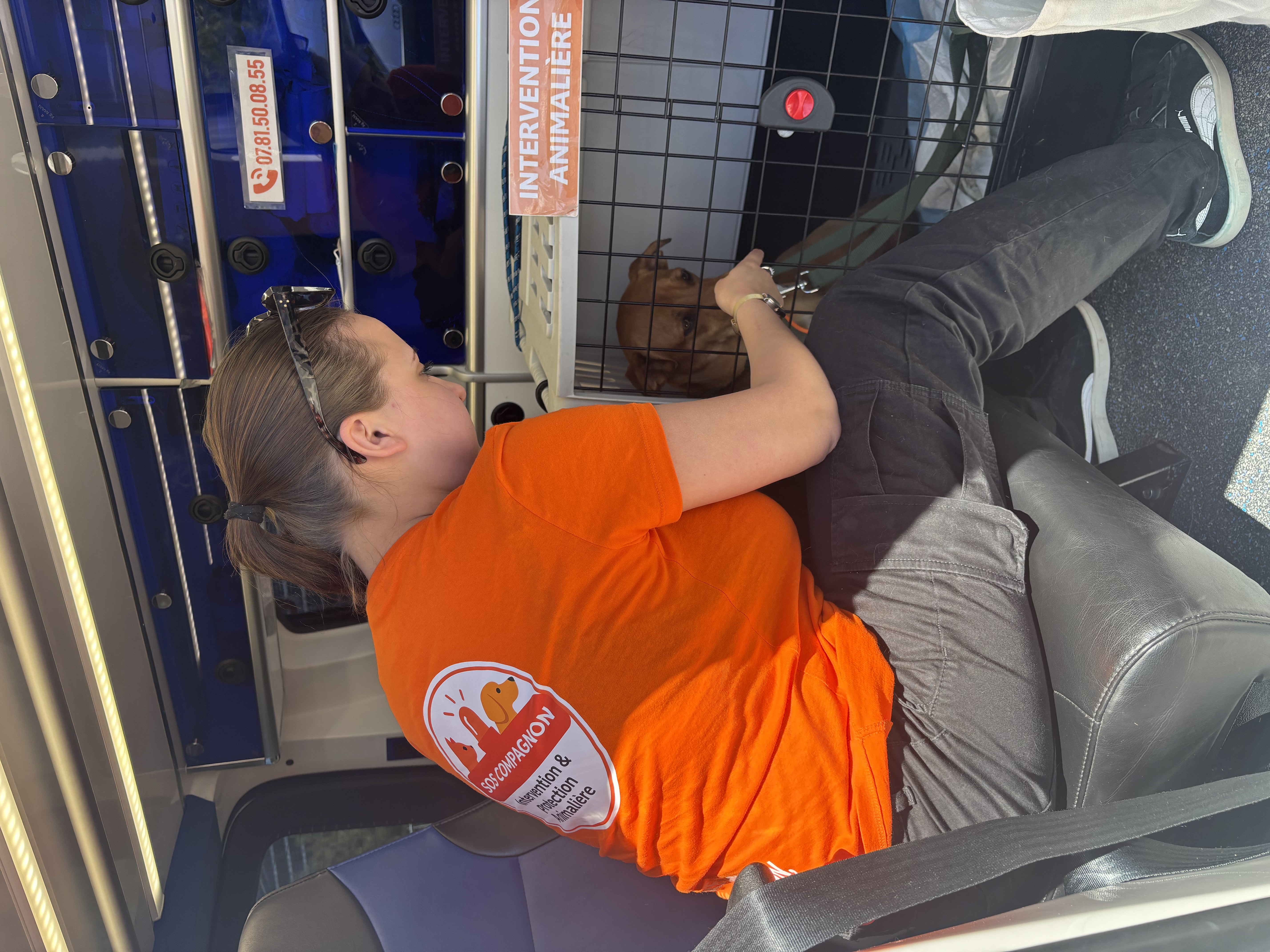Transport animalier association SOS Compagnon