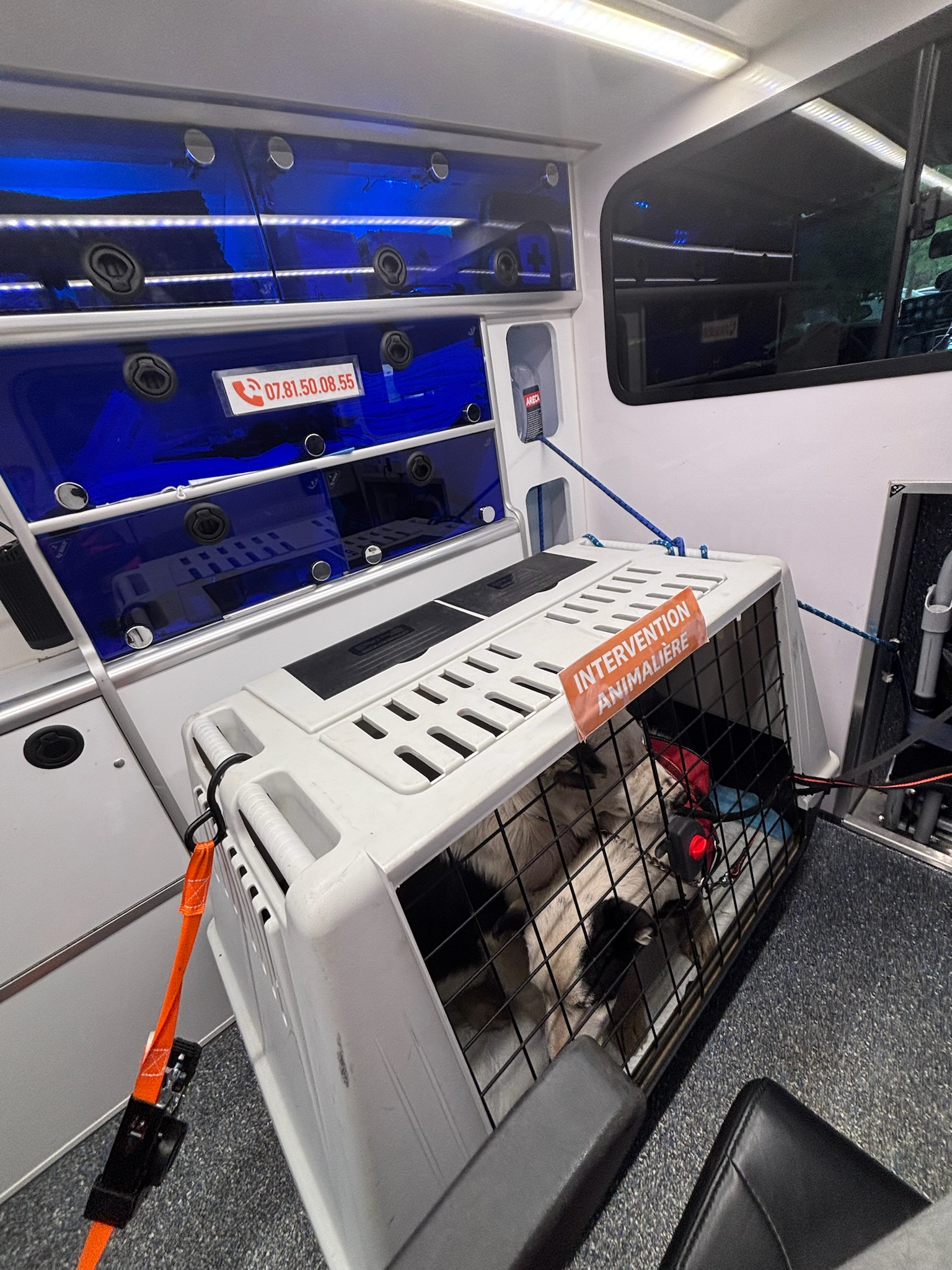 Transport animalier SOS Compagnon